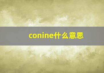 conine什么意思