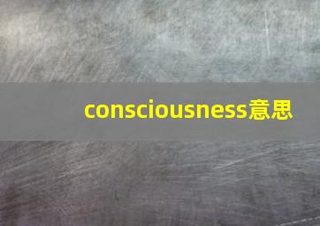 consciousness意思