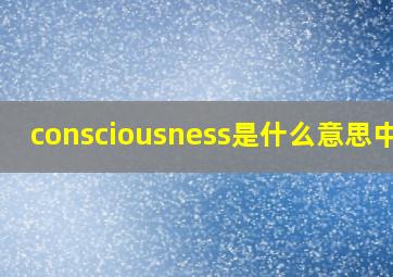 consciousness是什么意思中文