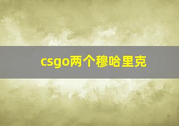 csgo两个穆哈里克