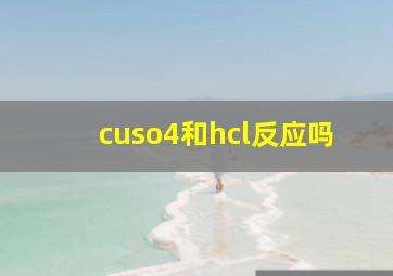 cuso4和hcl反应吗