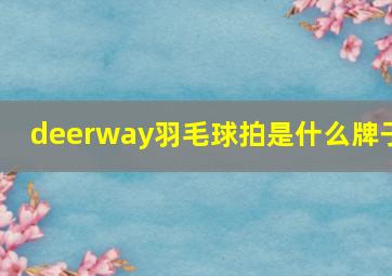 deerway羽毛球拍是什么牌子