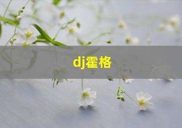 dj霍格