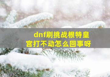 dnf刷挑战根特皇宫打不动怎么回事呀