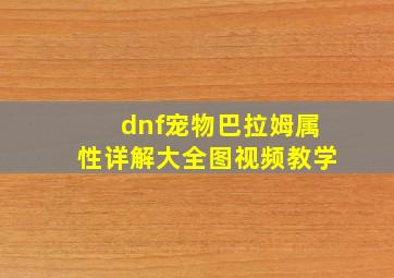 dnf宠物巴拉姆属性详解大全图视频教学