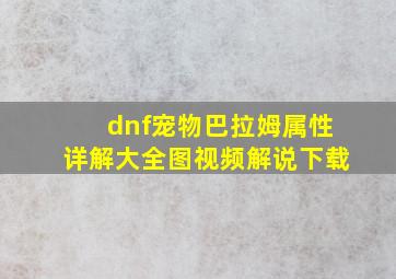 dnf宠物巴拉姆属性详解大全图视频解说下载