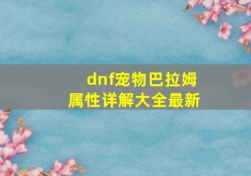 dnf宠物巴拉姆属性详解大全最新