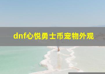 dnf心悦勇士币宠物外观