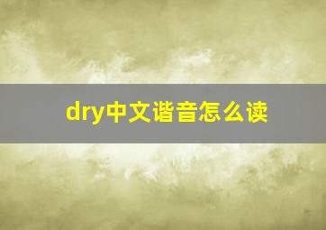 dry中文谐音怎么读