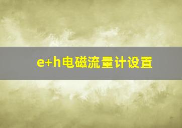 e+h电磁流量计设置