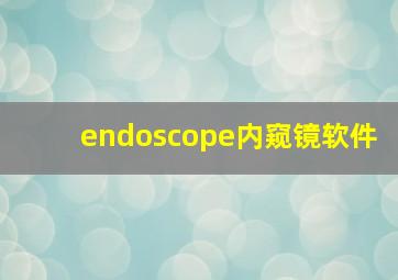 endoscope内窥镜软件