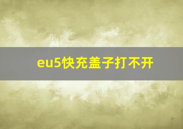 eu5快充盖子打不开