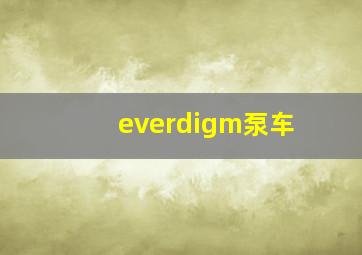 everdigm泵车