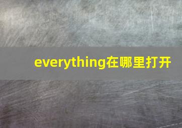 everything在哪里打开