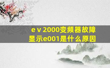 eⅴ2000变频器故障显示e001是什么原因