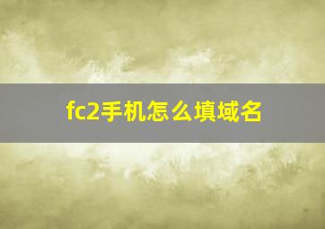 fc2手机怎么填域名