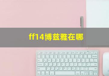 ff14博兹雅在哪