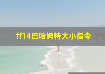 ff14巴哈姆特大小指令