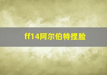 ff14阿尔伯特捏脸