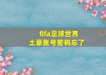 fifa足球世界土豪账号密码忘了