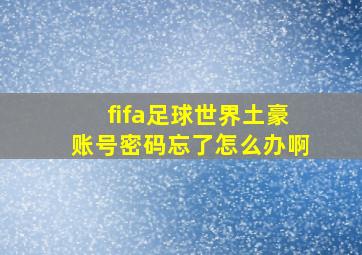 fifa足球世界土豪账号密码忘了怎么办啊