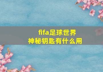 fifa足球世界神秘钥匙有什么用