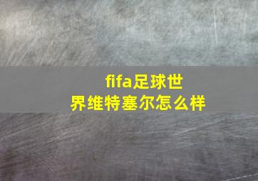 fifa足球世界维特塞尔怎么样