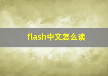 flash中文怎么读