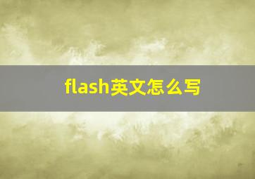 flash英文怎么写