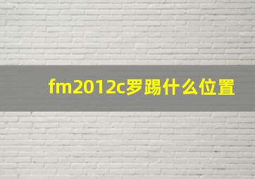 fm2012c罗踢什么位置