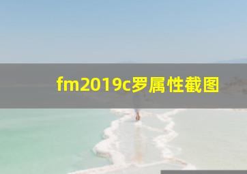 fm2019c罗属性截图