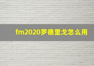 fm2020罗德里戈怎么用