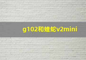 g102和蝰蛇v2mini