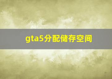 gta5分配储存空间