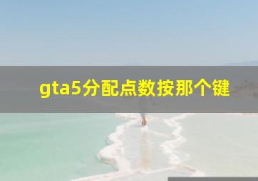 gta5分配点数按那个键