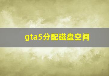 gta5分配磁盘空间