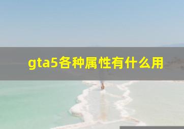 gta5各种属性有什么用