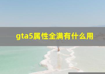 gta5属性全满有什么用