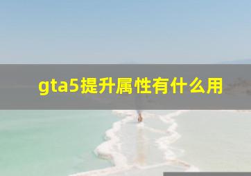 gta5提升属性有什么用