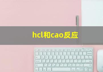 hcl和cao反应