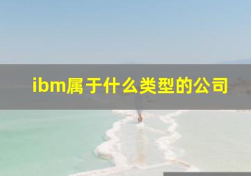 ibm属于什么类型的公司