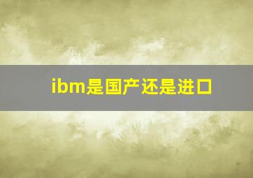 ibm是国产还是进口