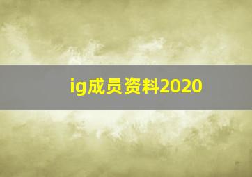 ig成员资料2020