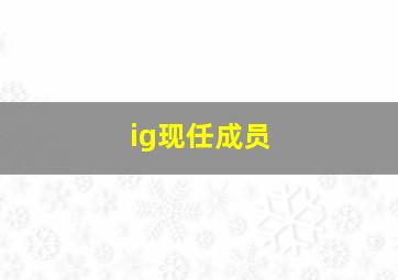 ig现任成员