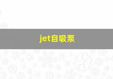 jet自吸泵