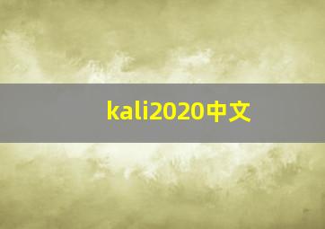 kali2020中文