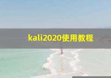 kali2020使用教程