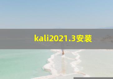 kali2021.3安装