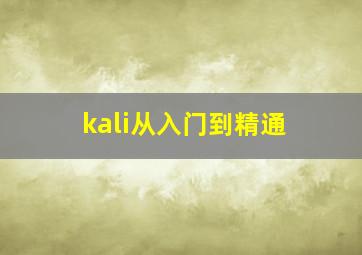 kali从入门到精通