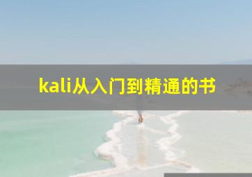 kali从入门到精通的书